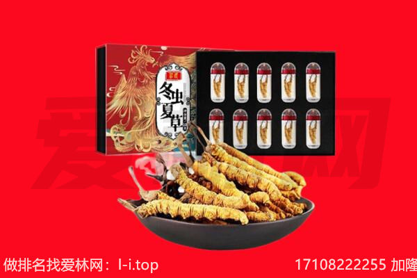 剑川县回收虫草.jpg